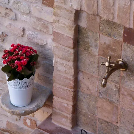 San Nicolò Bed & Breakfast Montegiorgio