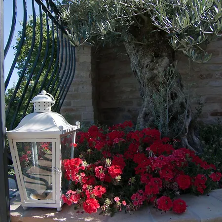 Bed & Breakfast San Nicolo *